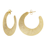 Load image into Gallery viewer, Brushed Crescent Earrings
